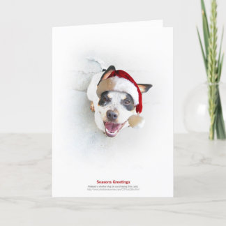 Cartes Pour Fêtes Annuelles Chien d'abri de vacances
