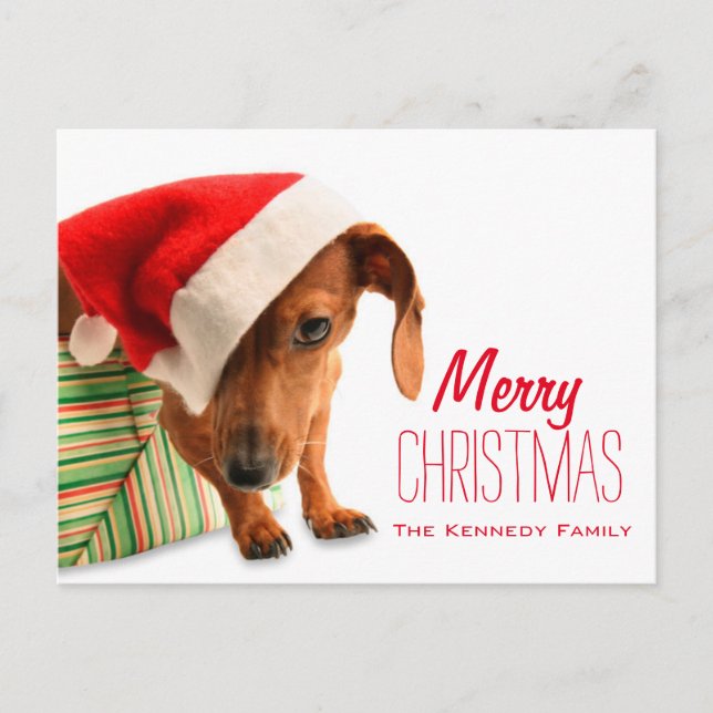 Cartes Pour Fêtes Annuelles Chien dans le chapeau du Père Noël (Devant)