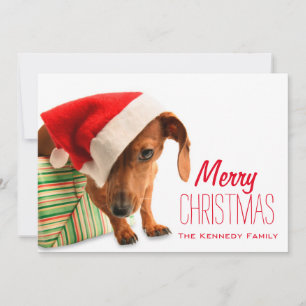 Cartes Pour Fêtes Annuelles Chien dans le chapeau du Père Noël
