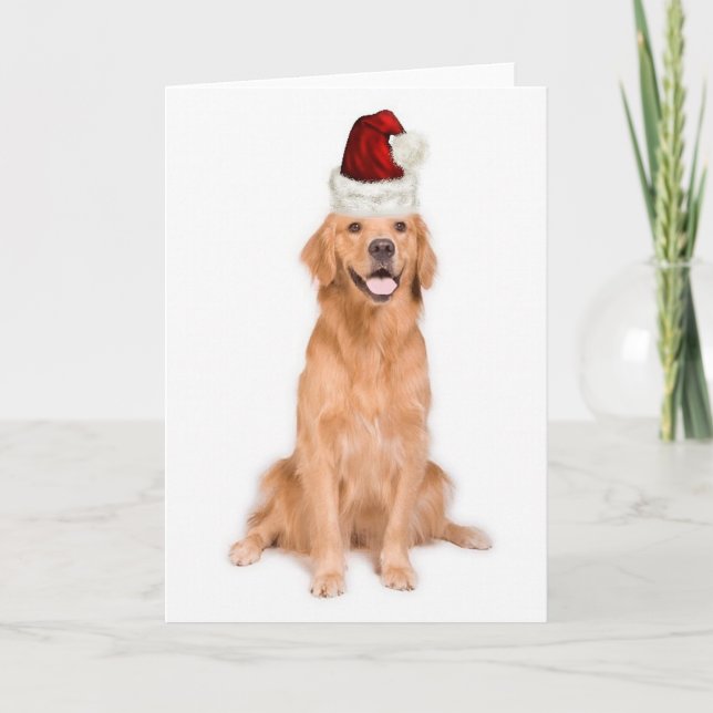 Cartes Pour Fêtes Annuelles Chien d'arrêt Ditzy de Dogs~Original (Devant)