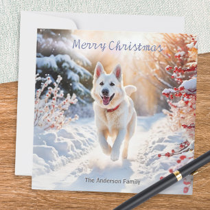Cartes Pour Fêtes Annuelles Chien de berger allemand blanc Alsatian Noël