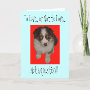 Cartes Pour Fêtes Annuelles Chien de Berger australien de la Saint-Valentin