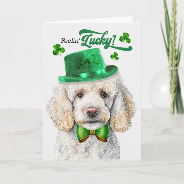 Cartes Pour Fêtes Annuelles Chien de caniche standard Feelin' Lucky St Patrick (Devant)