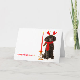 Cartes Pour Fêtes Annuelles Chien de canicule de Noël