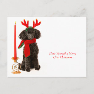 Cartes Pour Fêtes Annuelles Chien de canicule de Noël