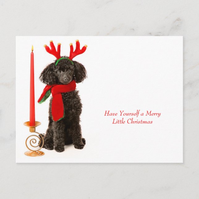 Cartes Pour Fêtes Annuelles Chien de canicule de Noël (Devant)