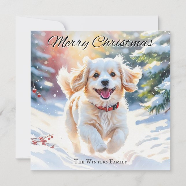 Cartes Pour Fêtes Annuelles Chien de Cavachi à Noël de neige (Devant)