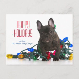 Cartes Pour Fêtes Annuelles Chien De Chien À Chien De France Tangé Dans Les Lu