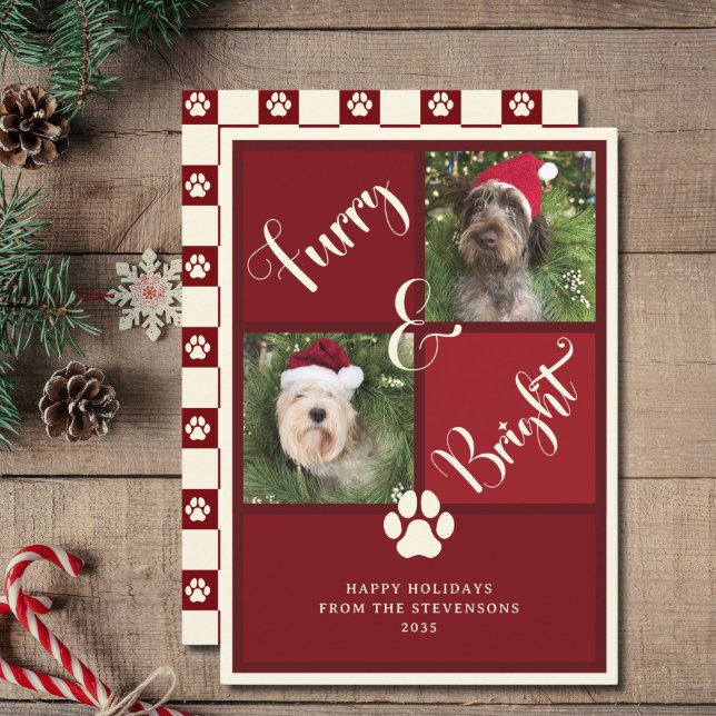 Cartes Pour Fêtes Annuelles Chien de collection photo rouge vif et furie (Créateur téléchargé)