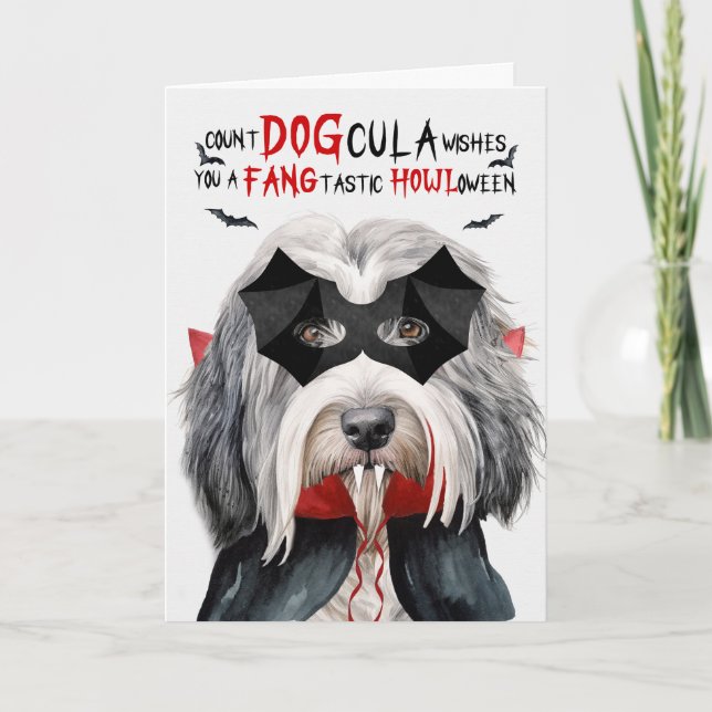 Cartes Pour Fêtes Annuelles Chien de Collie harcelé Drôle compte DOGcula Hallo (Devant)