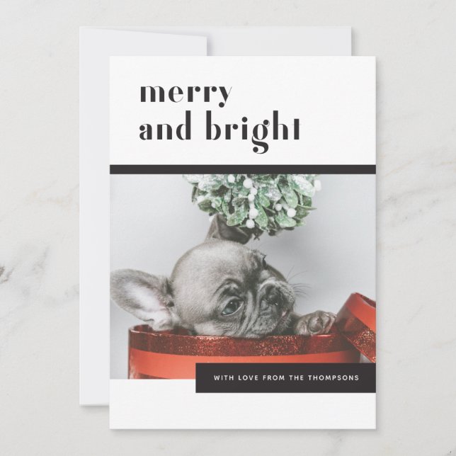 Cartes Pour Fêtes Annuelles Chien de fête moderne / Chien de taule français /  (Devant)