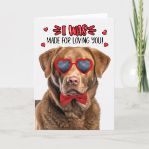 Cartes Pour Fêtes Annuelles Chien de la baie de Chesapeake fait pour vous aime