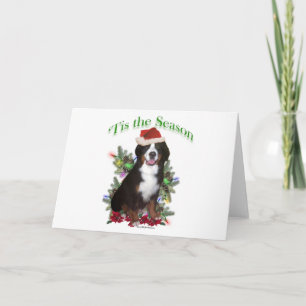 Cartes Pour Fêtes Annuelles Chien de Montagne bernois