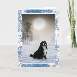 Cartes Pour Fêtes Annuelles Chien de montagne bernois en hiver neige Vue photo
