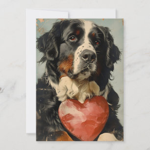 Cartes Pour Fêtes Annuelles chien de montagne bernois Saint-Valentin