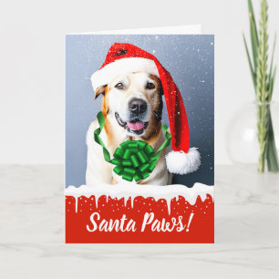 Cartes Pour Fêtes Annuelles Chien de Noël de père Noël Paws dans la neige