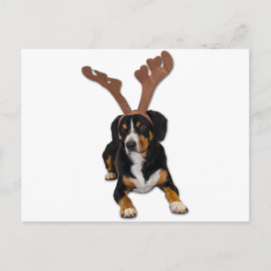 Cartes Pour Fêtes Annuelles Chien de Noël d'Entlebucher