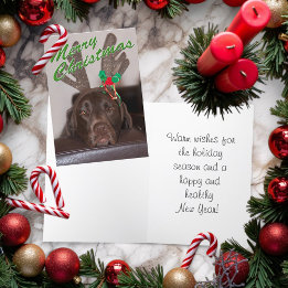 Cartes Pour Fêtes Annuelles Chien de Noël drowsy portant des colliers de Parti