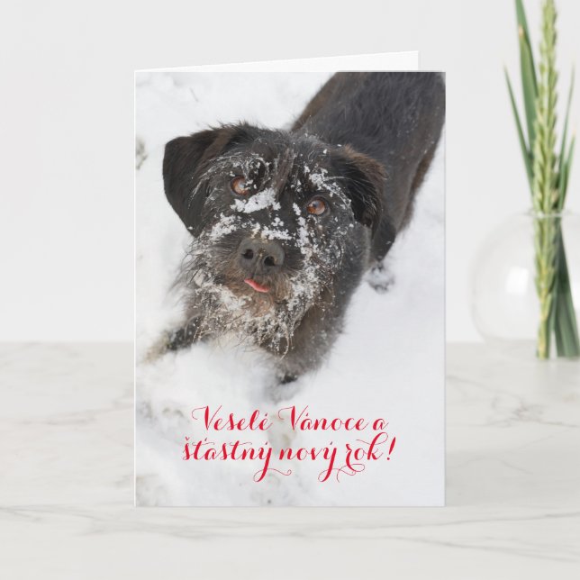 Cartes Pour Fêtes Annuelles Chien de Noël en tchèque personnalisé (Devant)