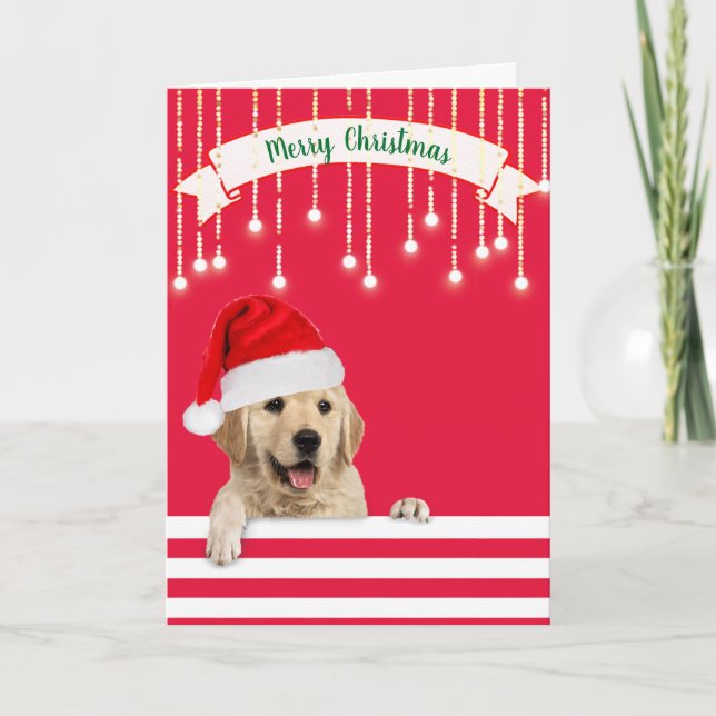 Cartes Pour Fêtes Annuelles Chien de Noël Golden Retriever (Devant)