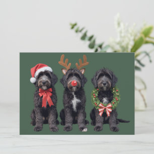 Cartes Pour Fêtes Annuelles Chien de Noël Goldendoodle noir Maman doodle Hiver