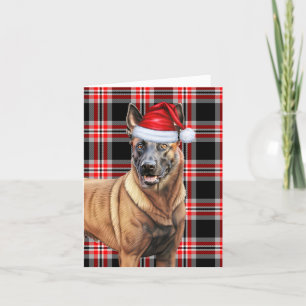 Cartes Pour Fêtes Annuelles Chien de Noël Malinois belge Rouge Parié Noël