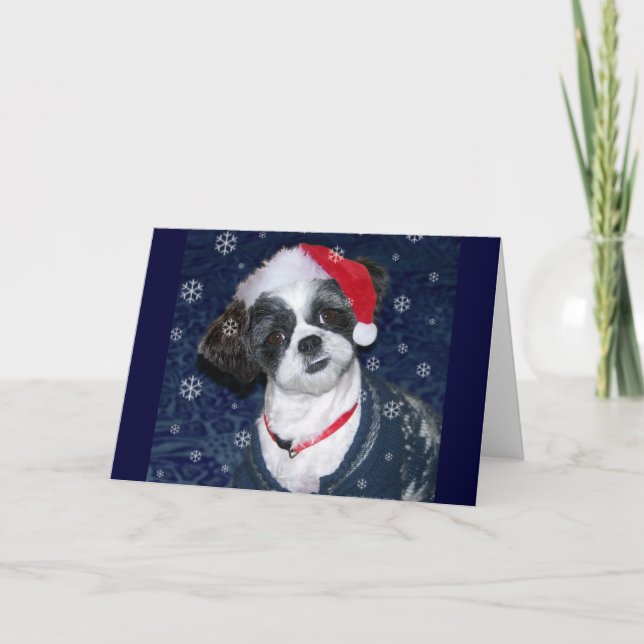 Cartes Pour Fêtes Annuelles Chien de Noël Shih Tzu (Devant)