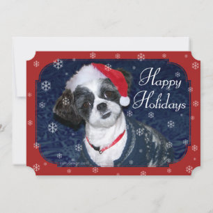 Cartes Pour Fêtes Annuelles Chien de Noël Shih Tzu