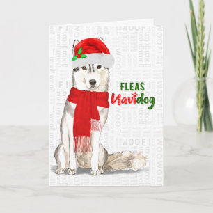 Cartes Pour Fêtes Annuelles Chien de Noël Sibérien Chien de Noël Fleas NaviDOG