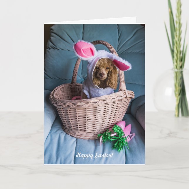 Cartes Pour Fêtes Annuelles Chien de Pâques dans un panier (Devant)