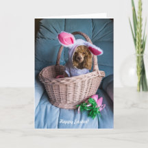 Chien de Pâques dans un panier