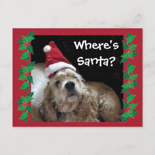 Cartes Pour Fêtes Annuelles Chien de père Noël Chance