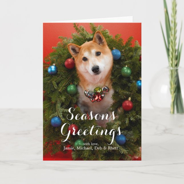 Cartes Pour Fêtes Annuelles Chien de Shiba Inu (Devant)