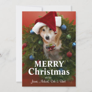 Cartes Pour Fêtes Annuelles Chien de Shiba Inu se reposant en guirlande de
