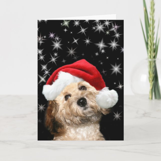 Cartes Pour Fêtes Annuelles Chien de Starry Père Noël (Devant)