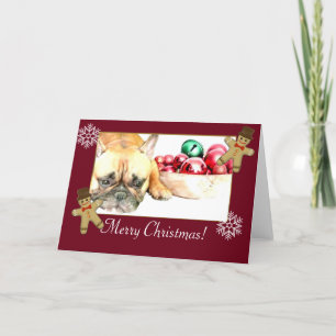 Cartes Pour Fêtes Annuelles Chien de taule français de Noël