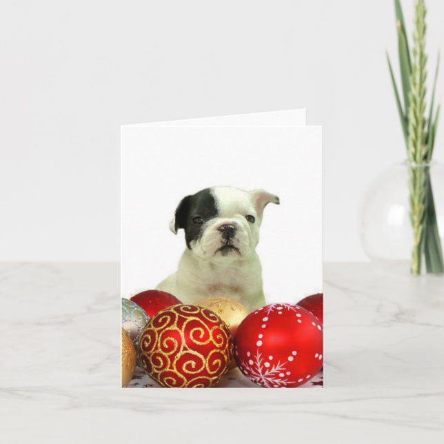 Cartes Pour Fêtes Annuelles Chien de taule français de Noël (Devant)