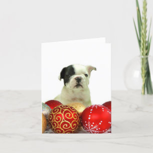 Cartes Pour Fêtes Annuelles Chien de taule français de Noël