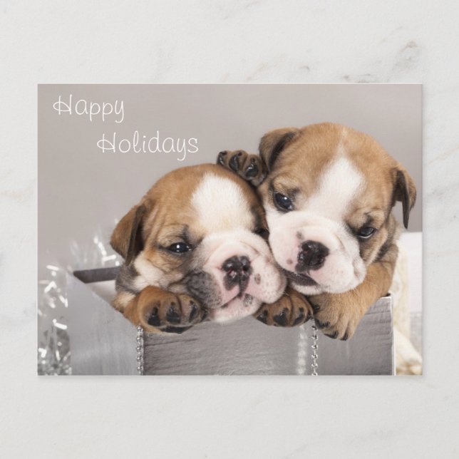 Cartes Pour Fêtes Annuelles Chien de taureau anglais et cadeaux (Devant)
