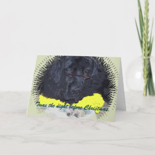 Cartes Pour Fêtes Annuelles Chien de Terre-Neuve la nuit précédant Noël