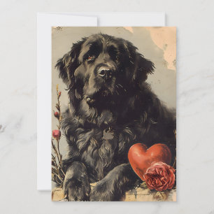 Cartes Pour Fêtes Annuelles Chien de Terre-Neuve Vintage Saint-Valentin