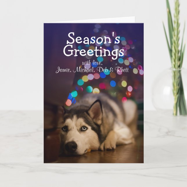 Cartes Pour Fêtes Annuelles Chien de traîneau sibérien s'étendant sur son (Devant)