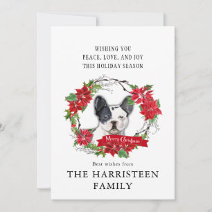 Cartes Pour Fêtes Annuelles Chien d'eau Poinsettia Noël