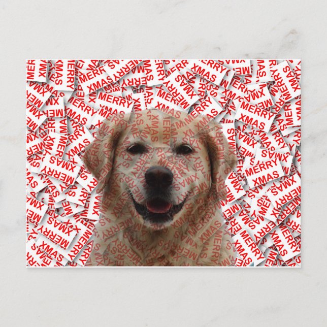 Cartes Pour Fêtes Annuelles Chien d'or de rétritrice souriant de Noël (Devant)