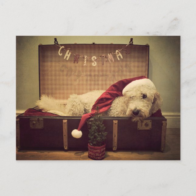 Cartes Pour Fêtes Annuelles Chien dormant dans sa valise (Devant)