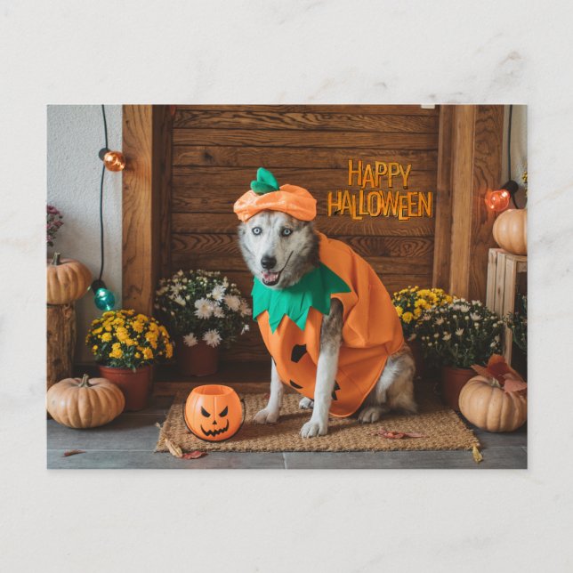 Cartes Pour Fêtes Annuelles Chien drôle dans le costume d'Halloween (Devant)