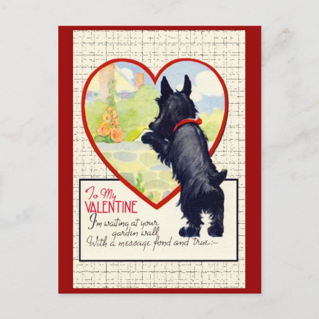 Cartes Pour Fêtes Annuelles Chien écossais Valentine Scottish Terrier (Devant)