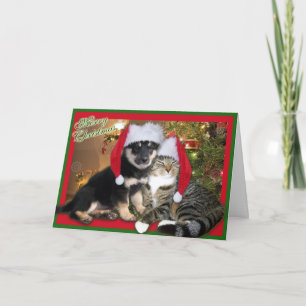Cartes Pour Fêtes Annuelles Chien et chat de Noël