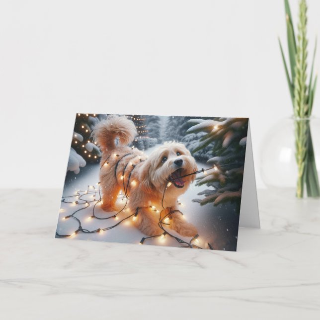 Cartes Pour Fêtes Annuelles Chien Havanais Dans Les Lumières De Noël Tangées (Devant)
