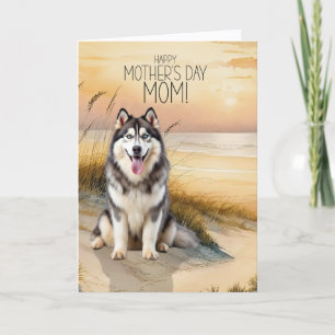 Cartes Pour Fêtes Annuelles Chien Husky Sibérien Coucher de soleil Plage Fête
